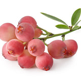 Afin Pink Lemonade (Vaccinium), cu fructe roz-rosu dulci-acrisoare
