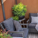 Bambusul Sacru Nandina Lemon-Lime