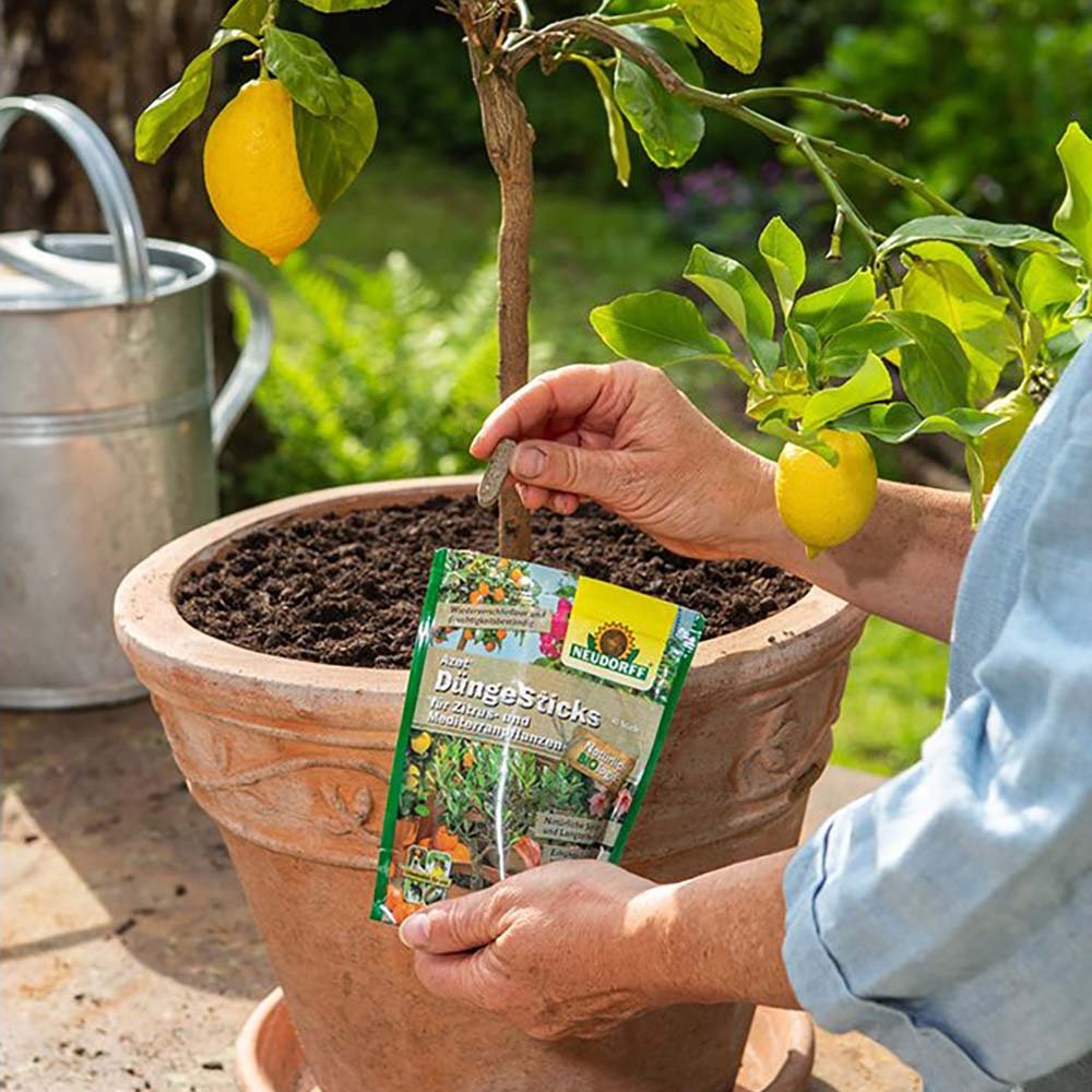 Batoane de Ingrasamant Azet pentru Plante Citrice si Mediteraneene, 40 buc, cu Efect Imediat si de Lunga Durata, Neudorff