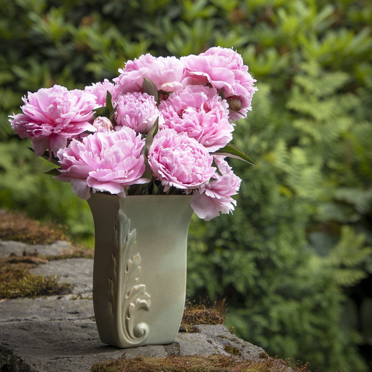 Bujor arbustiv nobil Sarah Bernhardt, cu flori roz si parfum puternic