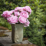 Bujor arbustiv nobil Sarah Bernhardt, cu flori roz si parfum puternic