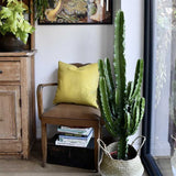 Cactus Candelabru 110 cm