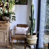 Cactus Candelabru - 95 cm