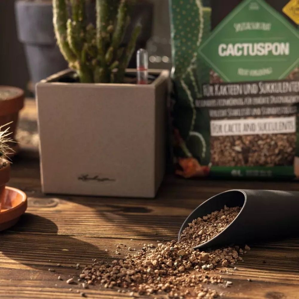 Substrat Mineral LECHUZA Cactuspon 6 l, pentru cactusi si suculente, 100% fara turba, cu ingrediente naturale