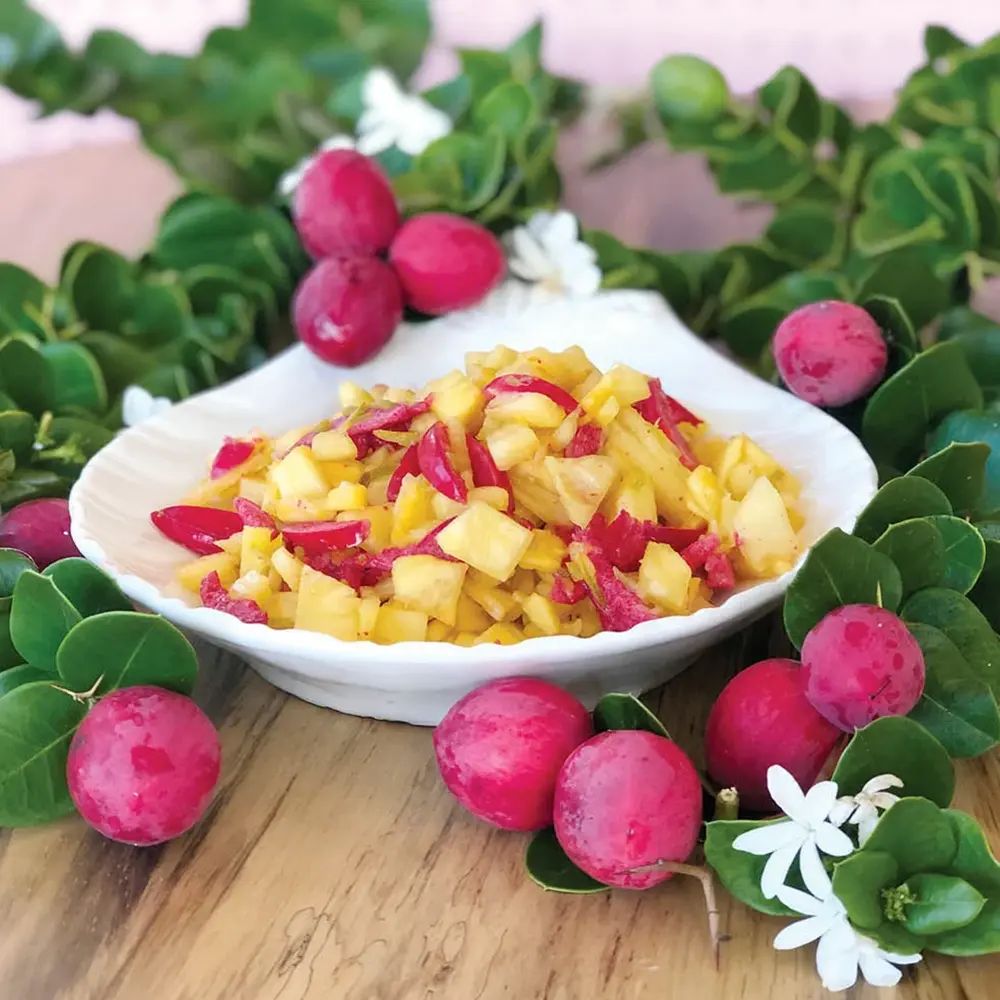 Плодово дърво Carissa, саксийно растение с червени сладко-кисели плодове, подходящи за десерти и похапване