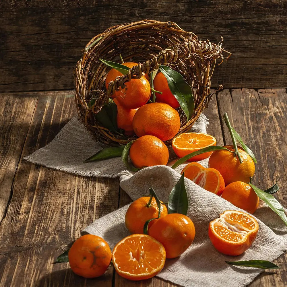 Portocal Clementina (Citrus sinensis), cu fructe mici portocalii si dulci, an 2 pe rod