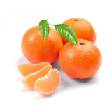 Portocal Clementina (Citrus sinensis), cu fructe mici portocalii si dulci, an 2 pe rod