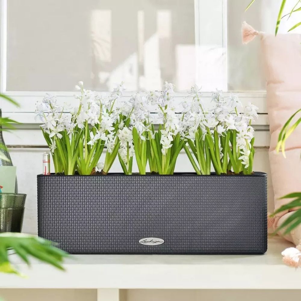 Ghiveci Auto-Irigant Lechuza Cube Color Triple, negru tip ratan, pentru plante cu ghiveci, sistem de autoirigare, include bracket asortat