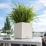 Ghiveci Auto-Irigant Lechuza Cube Cottage 30, 12 l, efect de ratan alb, pentru plante cu ghiveci, sistem de autoirigare, insert detasabil, strat de drenaj