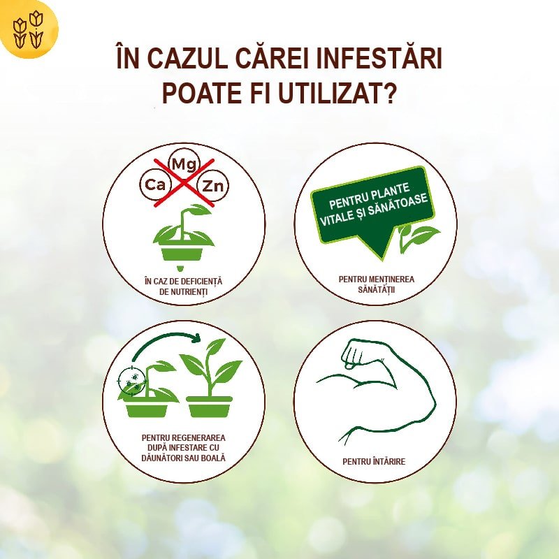 Extract de Urzica pentru Plante, 1l, SOLABIOL - VERDENA - 1 l