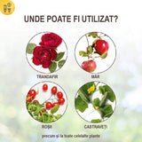 Extract de Urzica pentru Plante, 1l, SOLABIOL - VERDENA - 1 l