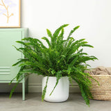 Feriga Sabie de camera Green Lady - 40 cm