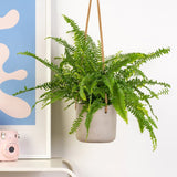 Feriga Sabie de camera Green Lady - 40 cm