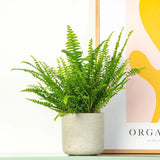 Feriga Sabie de camera Green Lady - 40 cm