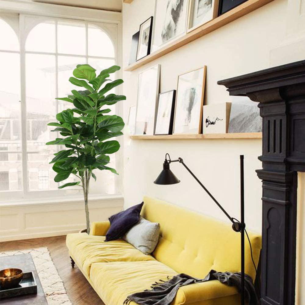 Фикус лира (Ficus Lyrata), стайно декоративно растение с листа като цигулка - 150 см