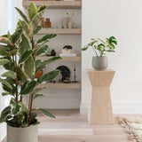Каучуково дърво, Ficus Elastica Tineke, стайно растение с пъстри зелено-кремави листа - 110 см