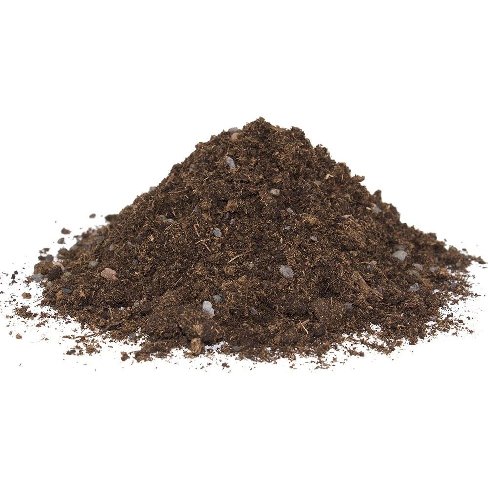 Pamant pentru Plante Citrice si Mediteraneene, 10 l, cu Ingrasamant Premium Imbogatit cu Fier, Floragard
