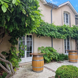 Glicina (Wisteria) cataratoare Sinensis Prolific, cu flori mov