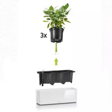 Ghiveci Auto-Irigant Lechuza Cube Glossy Triple, rosu lucios, pentru plante cu ghiveci, sistem de autoirigare, insert detasabil, strat de drenaj