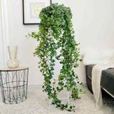 Бръшлян Helix Wonder, 110 см, декоративно стайно растение, висящо, пречиства въздуха, лесно за отглеждане