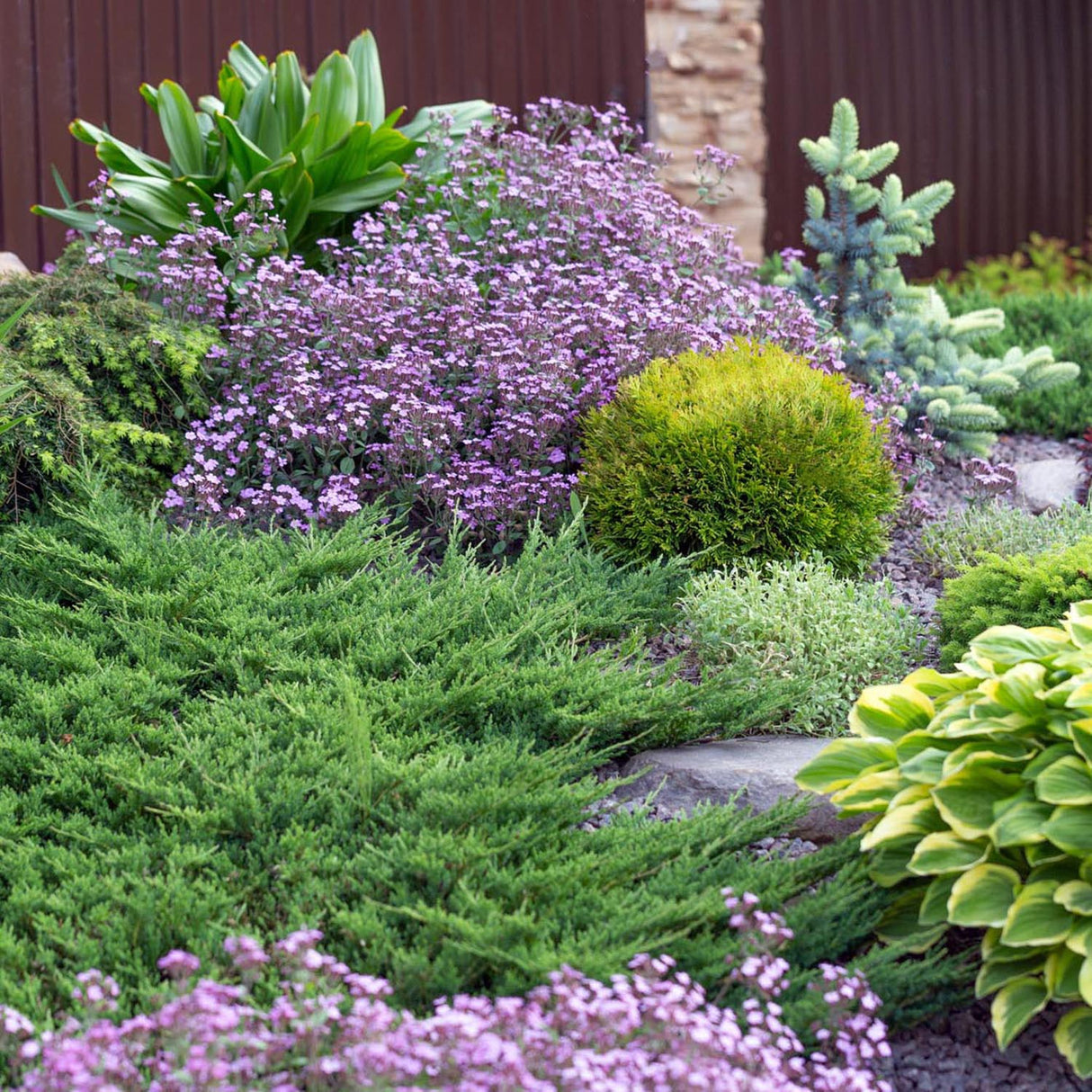 Ienupar tarator verde Mint Julep