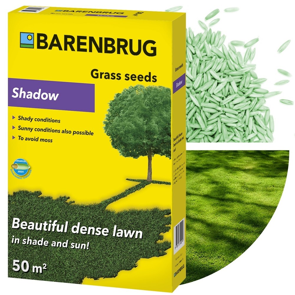 Семена за тревна морава Shadow Barenbrug 1 кг – гъста морава за сенчести и смесени зони, за 50 кв.м