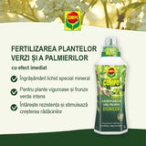 Ingrasamant organic lichid pentru plante verzi si palmieri COMPO, ingrediente 100% naturale, 500 ml - VERDENA - 500 ml