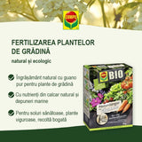 Black Friday - Reduceri Ingrasamant Organic Natural cu Guano, 1 kg, COMPO Promotie