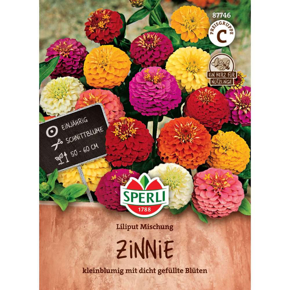Seminte craite pitice Liliput – inflorire bogata si compacta