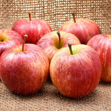 Mar Jonagold (Malus domestica), cu fructe dulci-acrisor