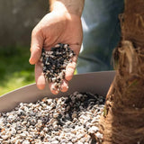Substrat Mineral LECHUZA Palmpon 12 l, pentru palmieri si plante mediteraneene, 100% fara turba, cu ingrediente naturale