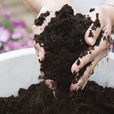 Pamant universal pentru Plante de Interior 20 l