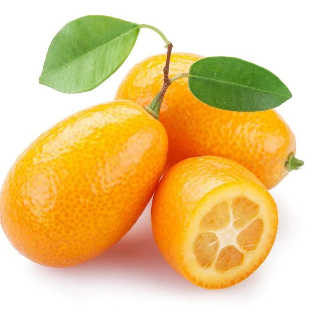 Портокал Кумкуат (Citrus Sinensis)