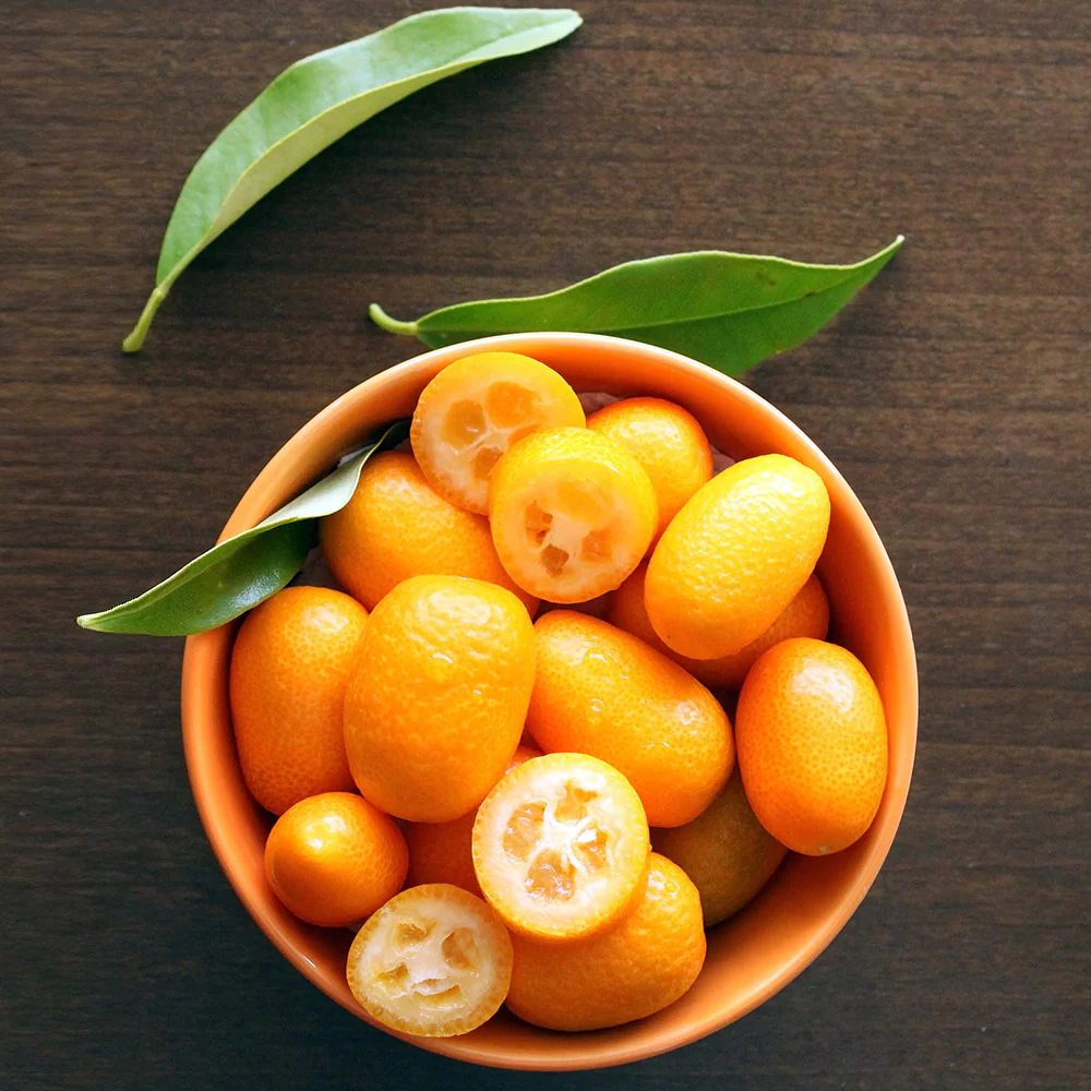 Портокал Кумкуат (Citrus Sinensis)