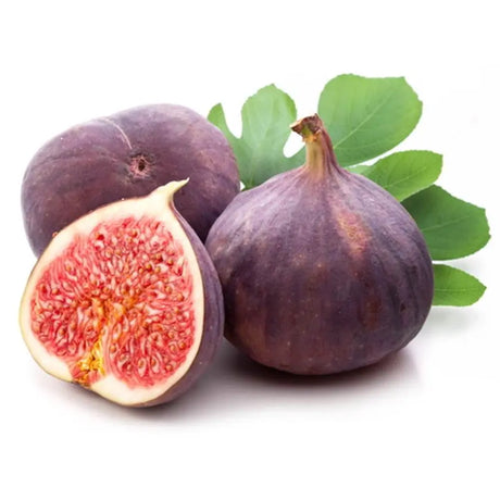 Smochin Copac (Ficus Carica) Brogiotto Nero, cu fructe violet-inchis, an 2 pe rod