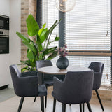 Strelitzia nicolai (Pasarea alba a paradisului) - 290 cm