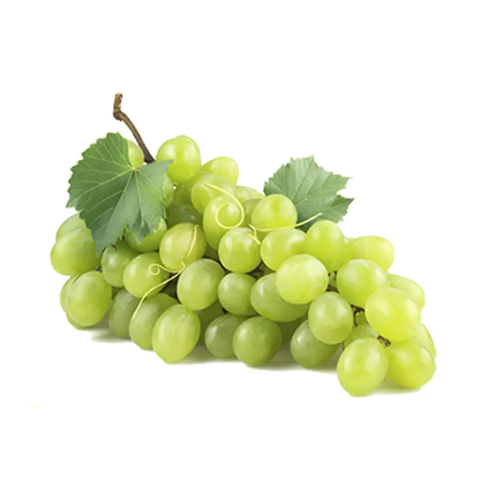 Vita de Vie (Vitis vinifera) Sugraone, cu struguri mari albi, an 2 pe rod