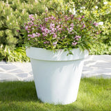 Deutzia Yuki Cherry Blossom - VERDENA-15 cm inaltime, livrat in ghiveci de 4 l