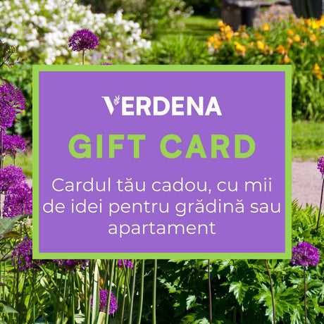 Gift Card - VERDENA-RON 50.00